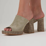 Platform Taban Terlik